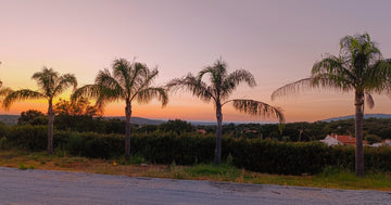 Escape to Our Cozy Tiny Houses in Serra de São Mamede: Nature, Horses, and Birdwatching in Alentejo